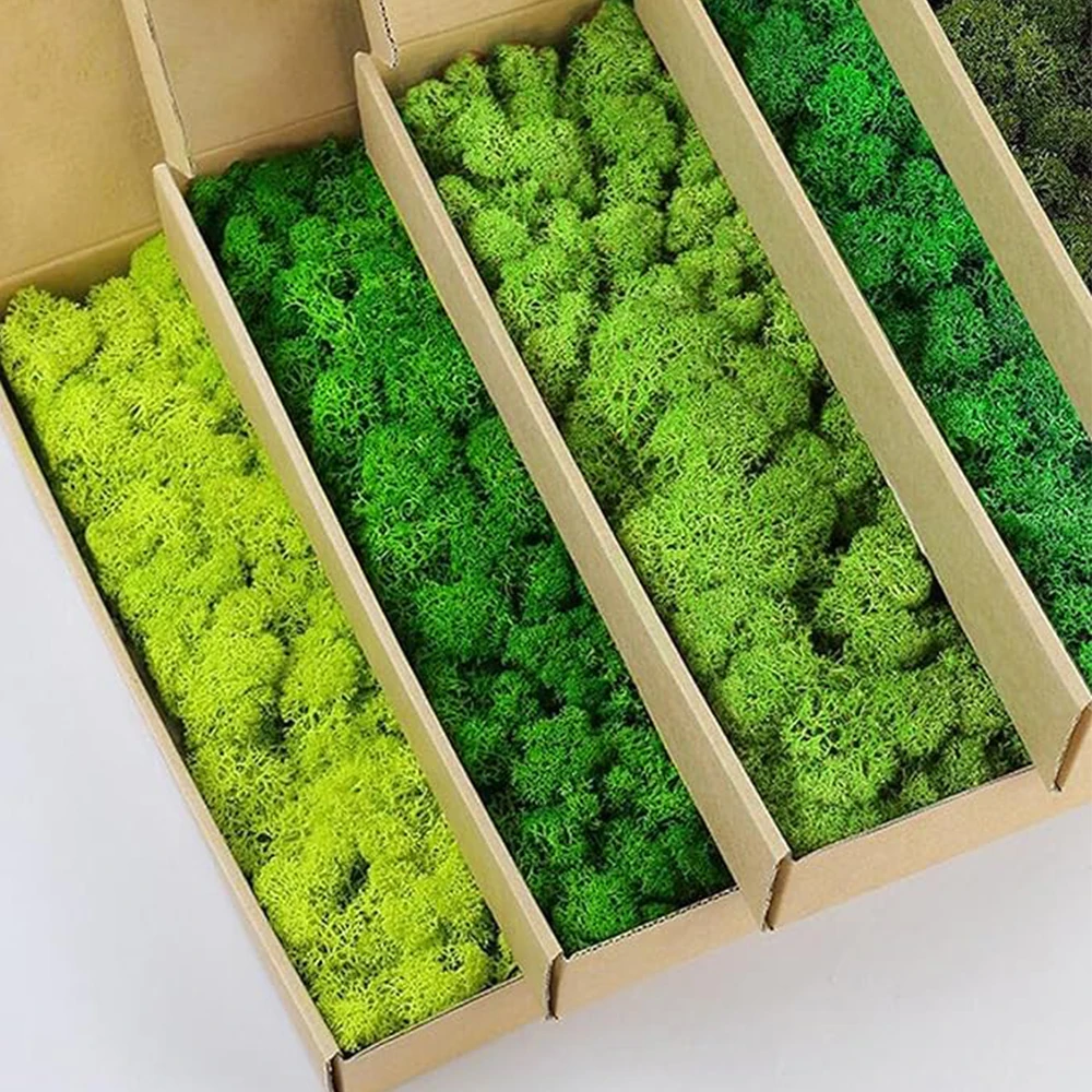 Terrarium Moss Art - 20-200g Piante verdi artificiali Erba finta