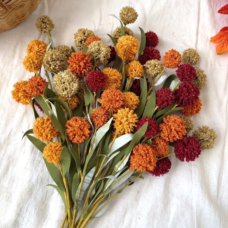 Dried Flower Bulk - Fiore di Margherita Essiccato da 42cm,