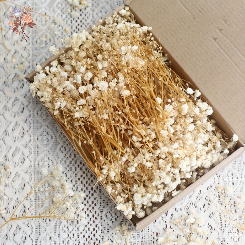 Dried Flower Bulk - 100 Pezzi Mini Fiori Secchi di