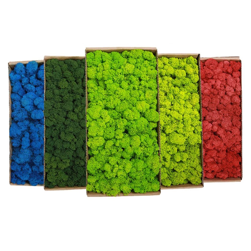 20-200g Piante verdi artificia - Terrarium Moss Art recensione e prezzo