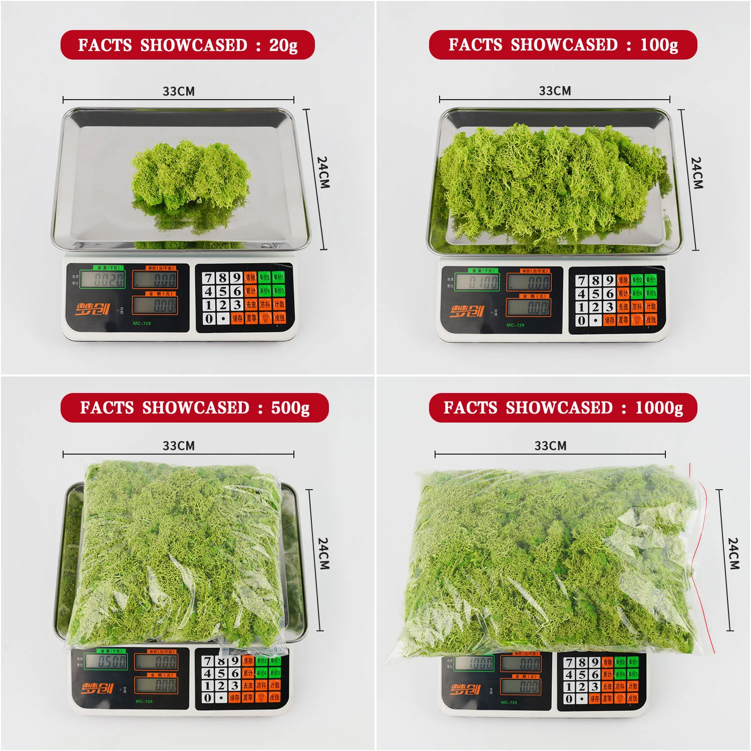 20-200g Piante verdi artificia - Terrarium Moss Art recensione e prezzo