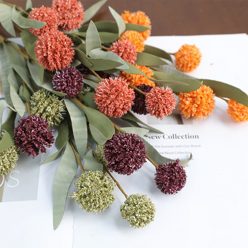 Fiore di Margherita Essiccato  - Dried Flower Bulk recensione e prezzo