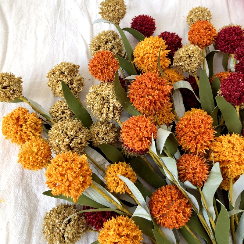 Fiore di Margherita Essiccato  - Dried Flower Bulk recensione e prezzo