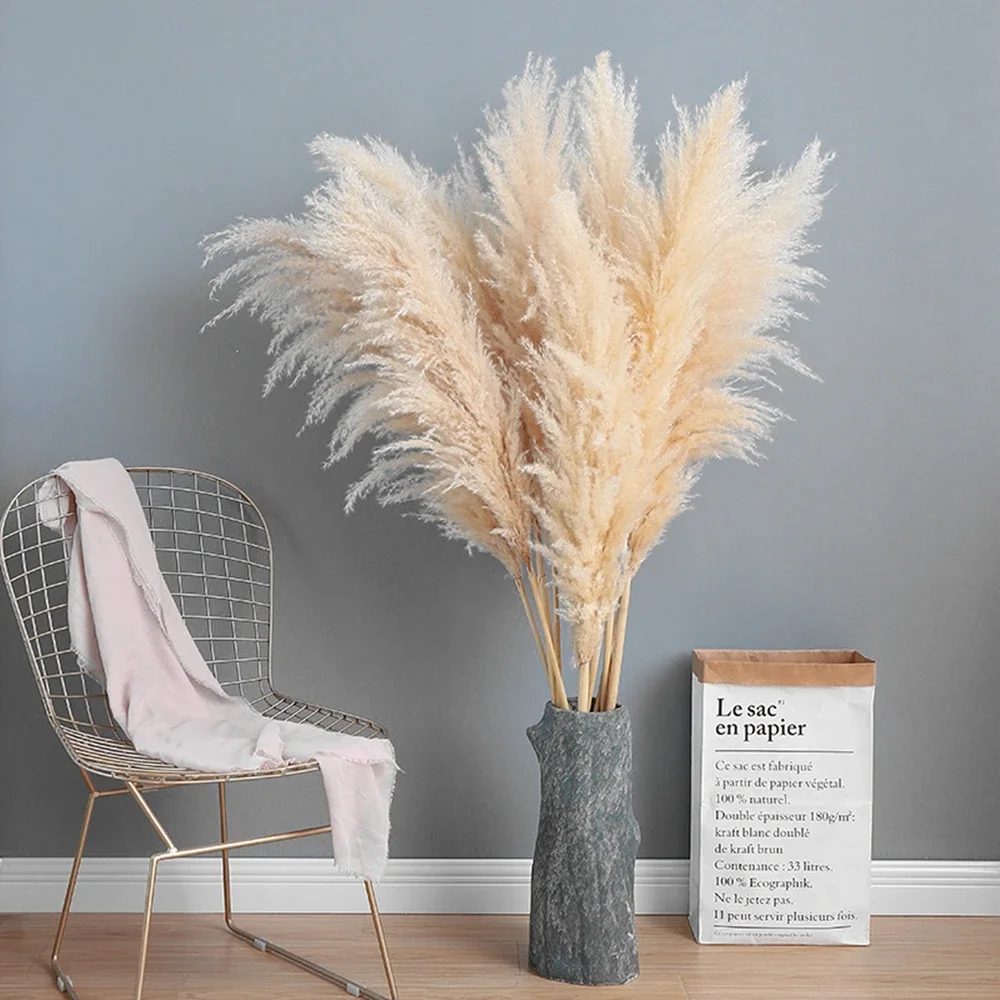 Erba di pampa grande soffice d - Dried Flower Bulk recensione e prezzo