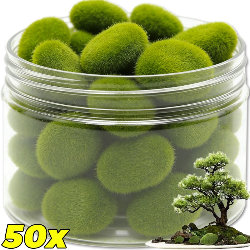 50/5 Pezzi Rocce di Muschio Ar - Terrarium Moss Art recensione e prezzo
