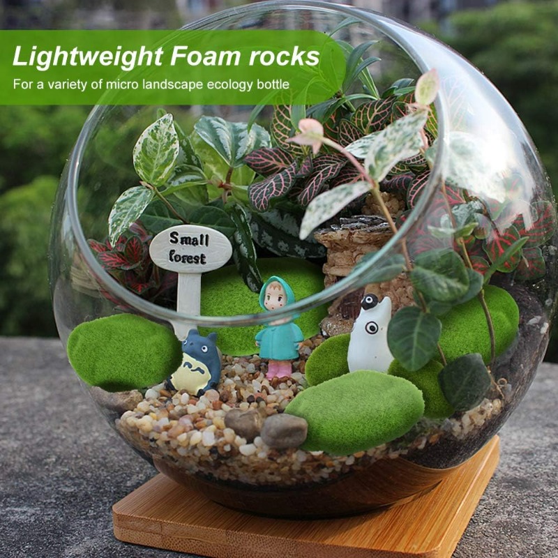 50/5 Pezzi Rocce di Muschio Ar - Terrarium Moss Art recensione e prezzo