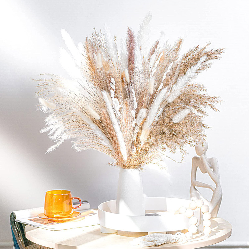 60-100PCS Bouquet di erba di p - Dried Flower Bulk recensione e prezzo